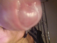 boltie91